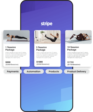 Stripe Features Screen